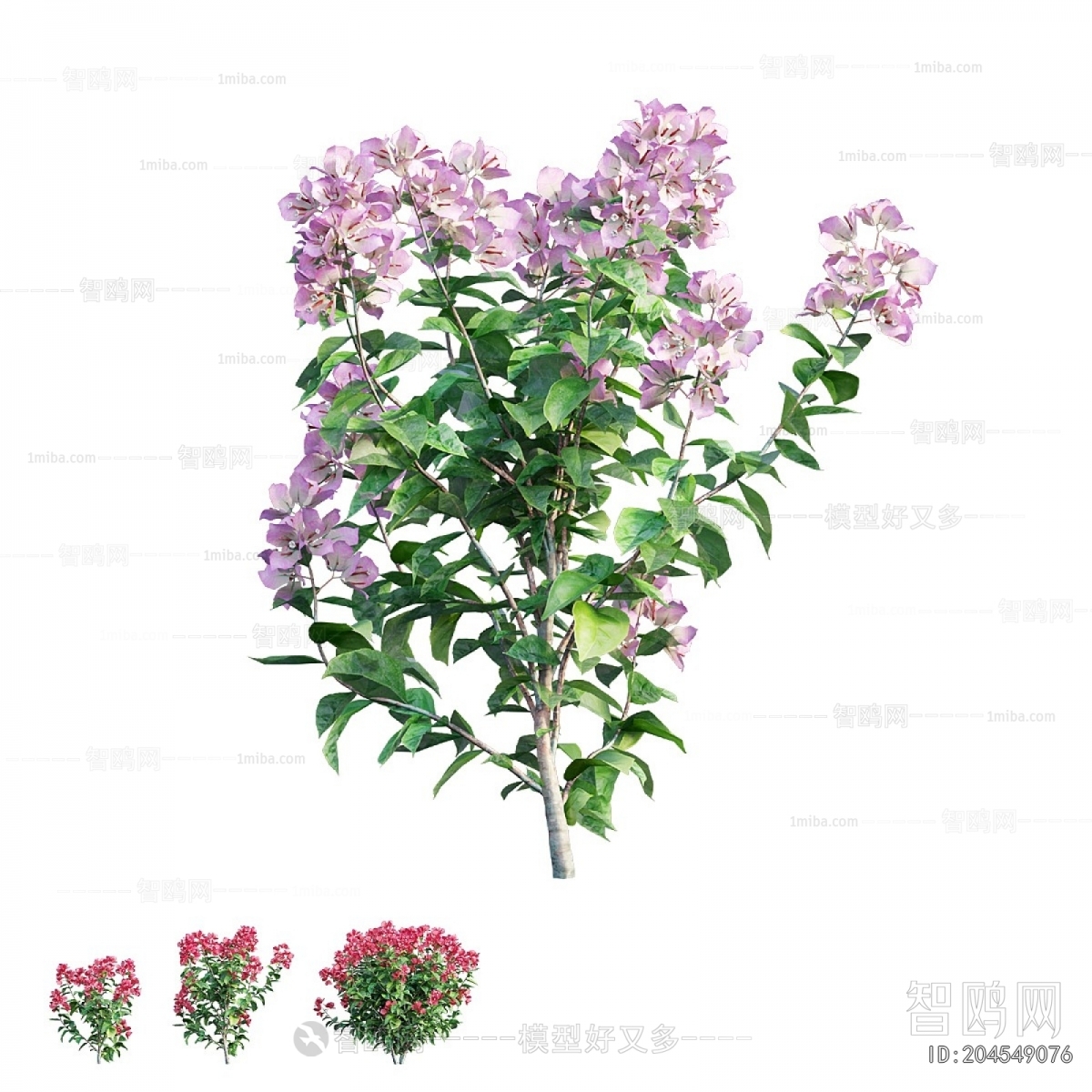 Modern Shrubbery