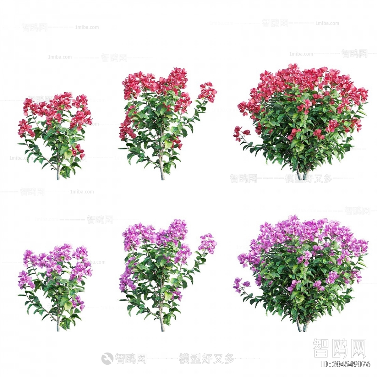 Modern Shrubbery