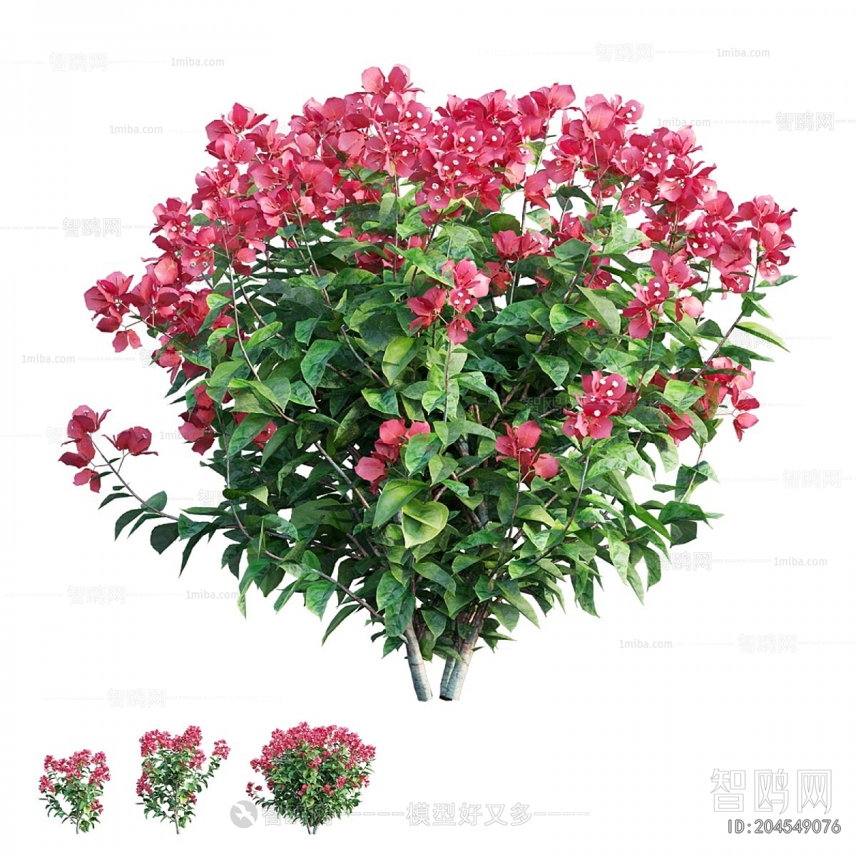 Modern Shrubbery