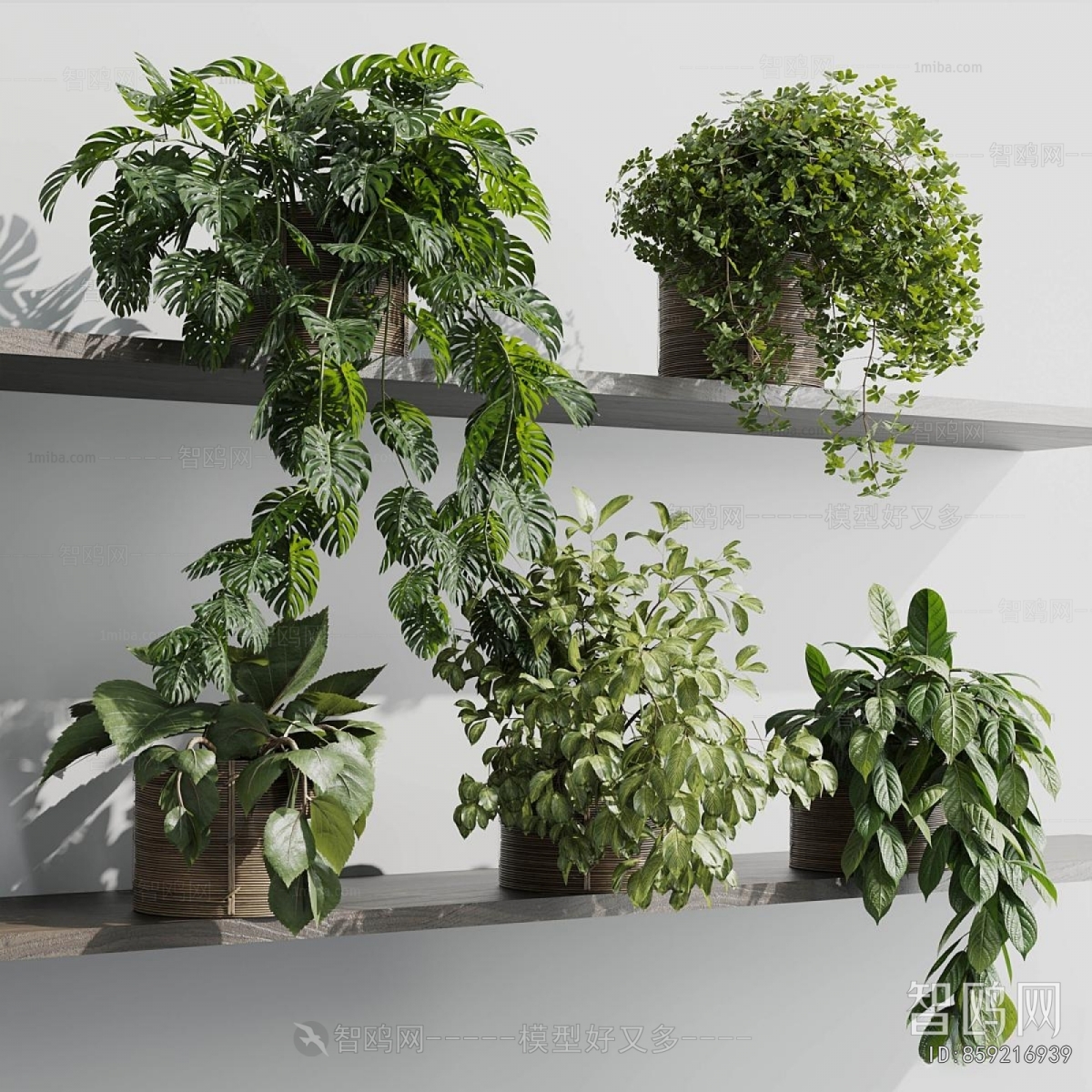 Modern Potted Green Plant