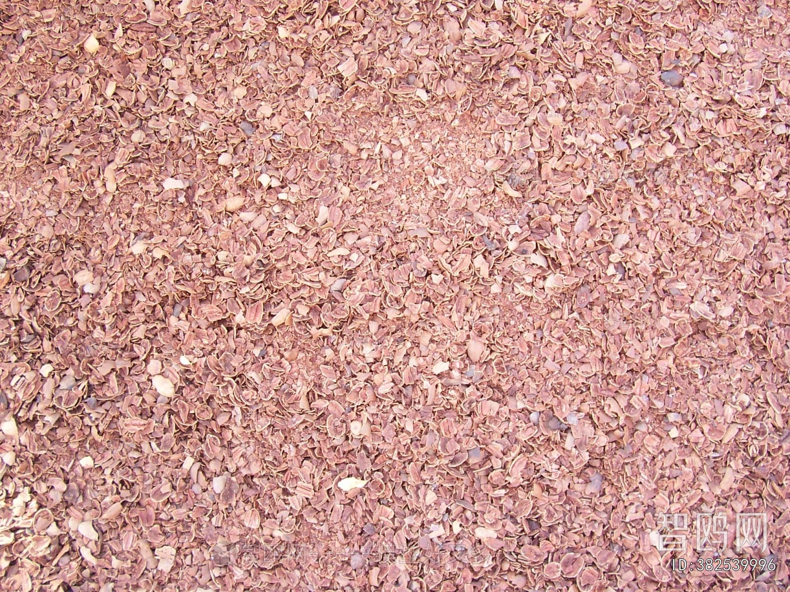 Grass
