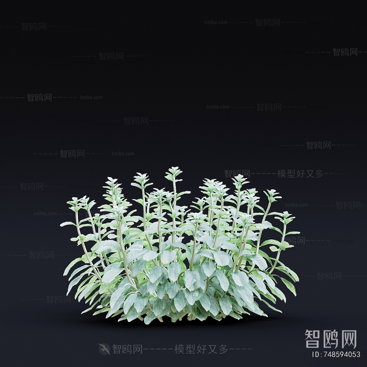 Modern Flowers And Grass