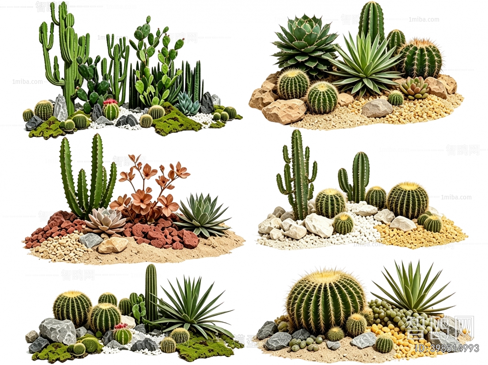 Modern Plant Landscaping