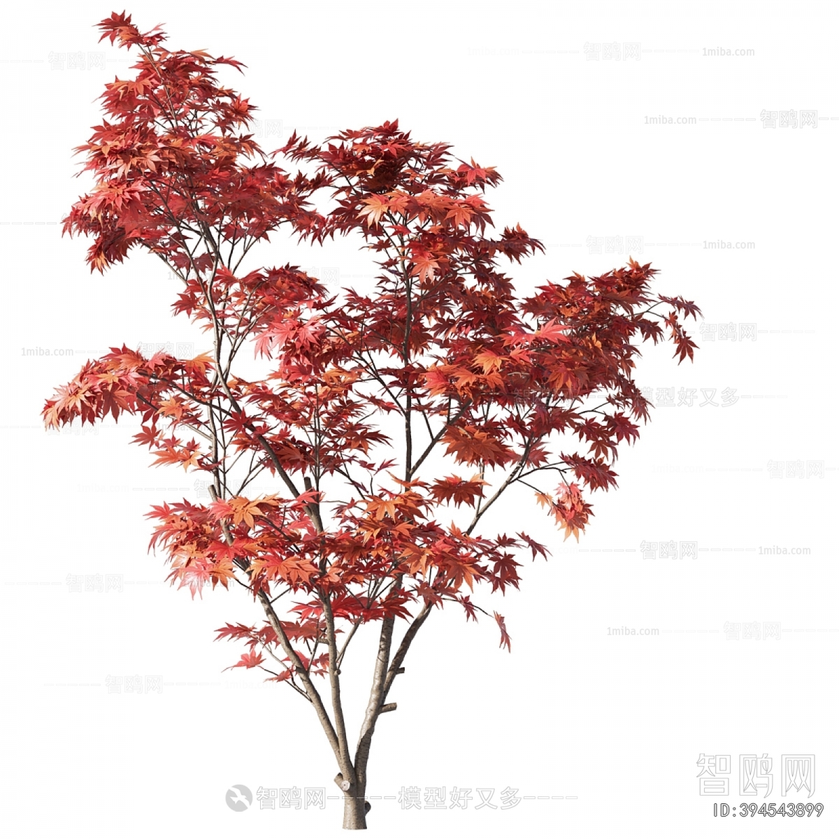 Modern Tree