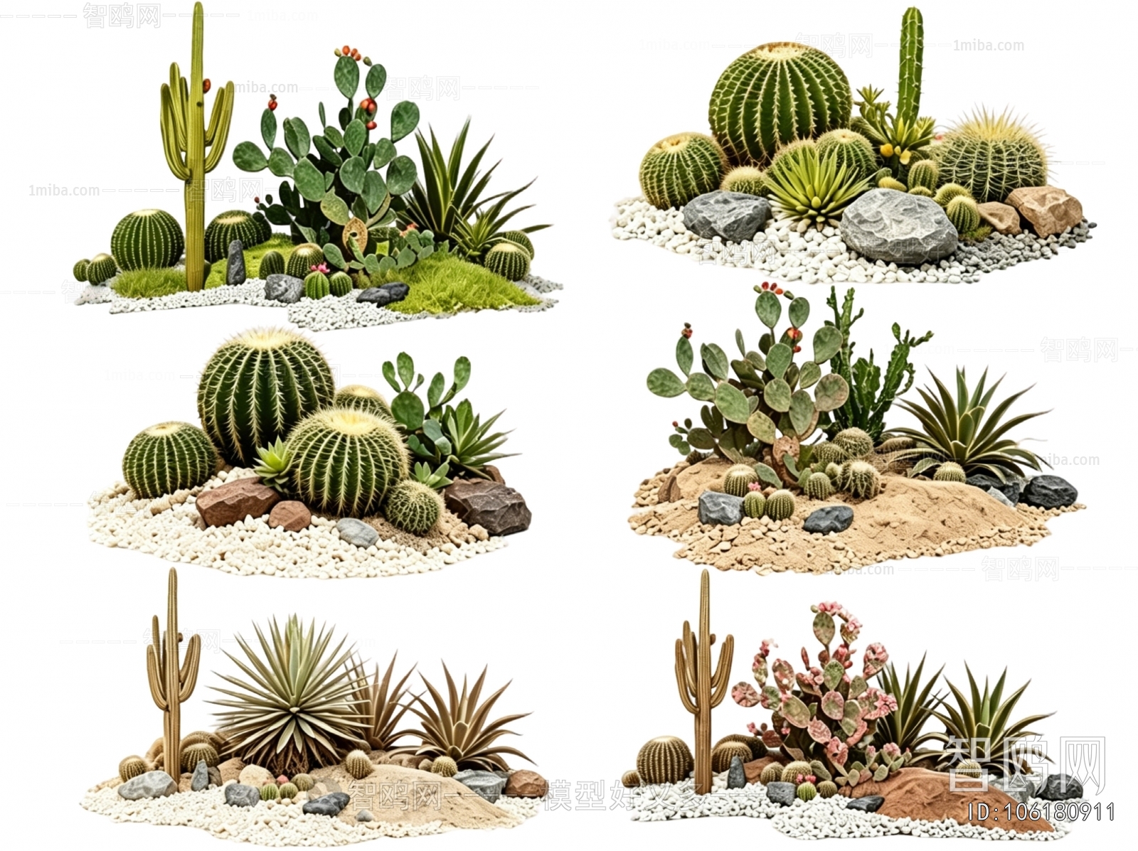 Modern Plant Landscaping