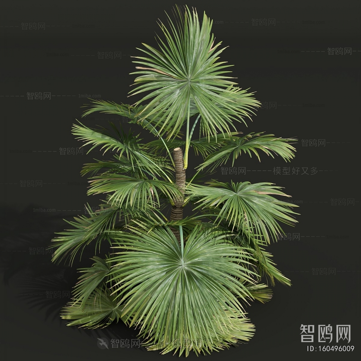 Modern Plant