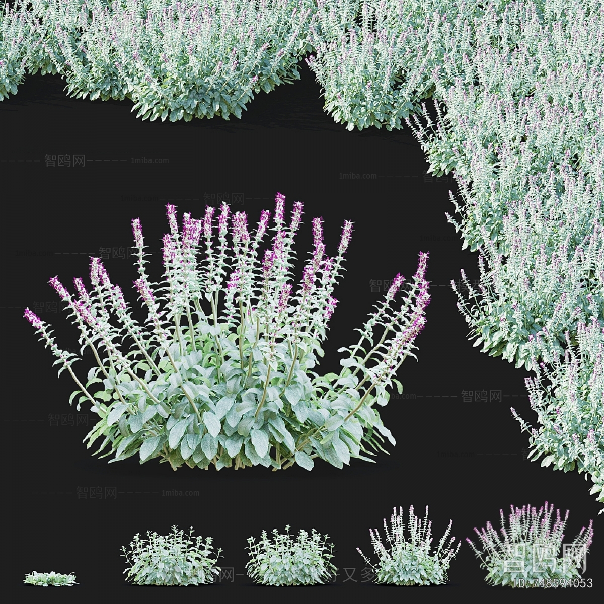 Modern Flowers And Grass