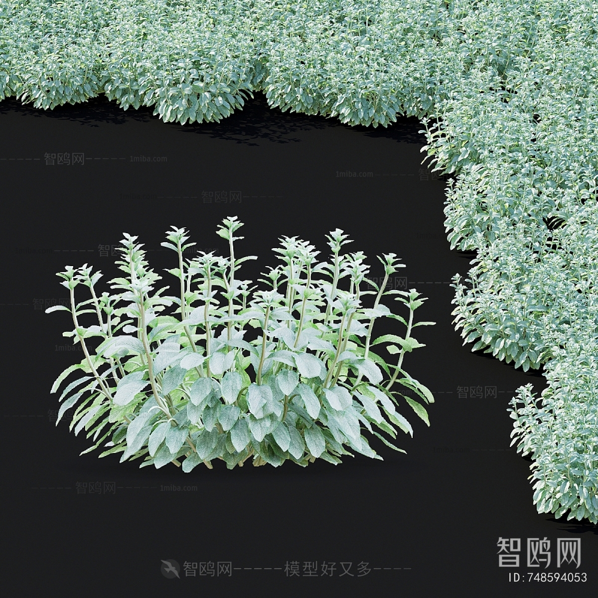 Modern Flowers And Grass