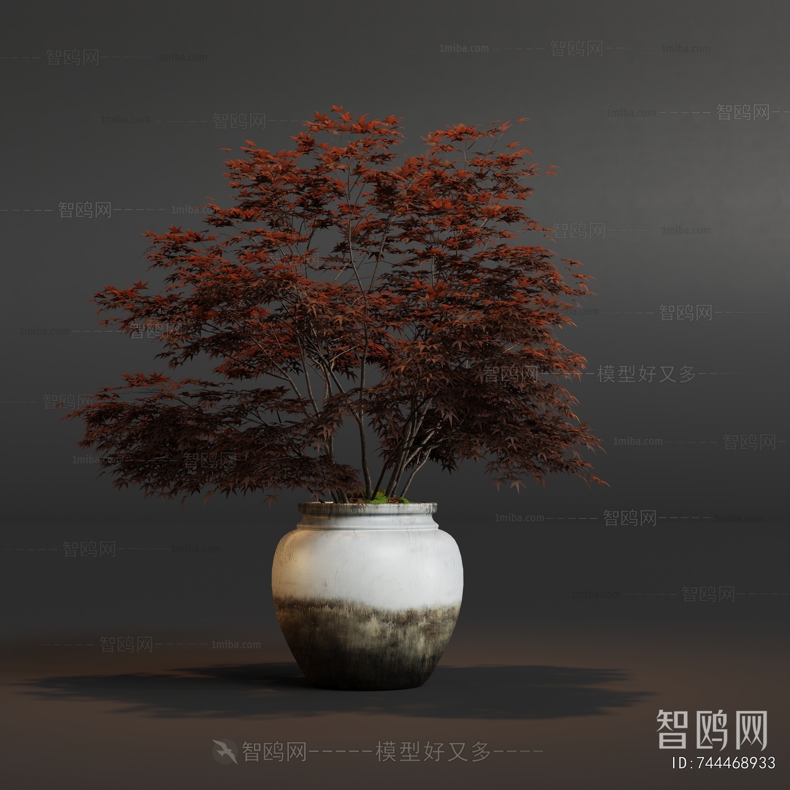 Modern Ground Green Plant Potted Plants