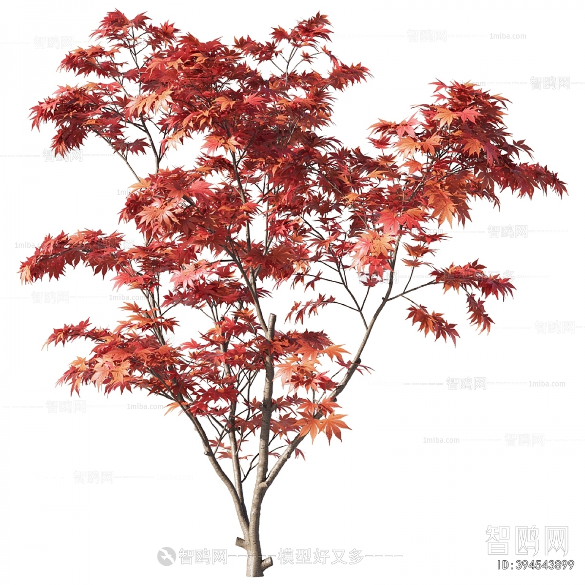 Modern Tree