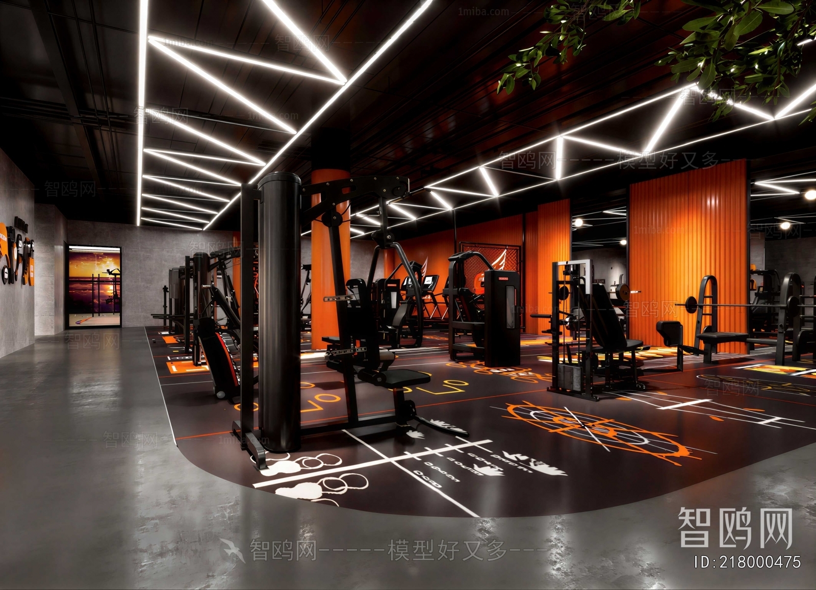 Modern Gym