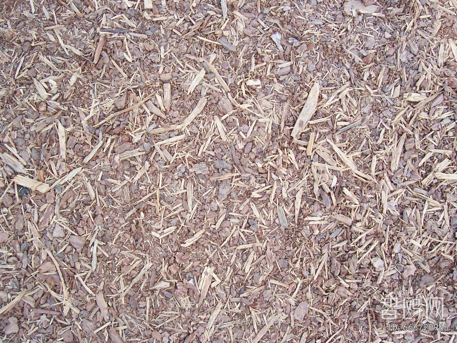 Grass