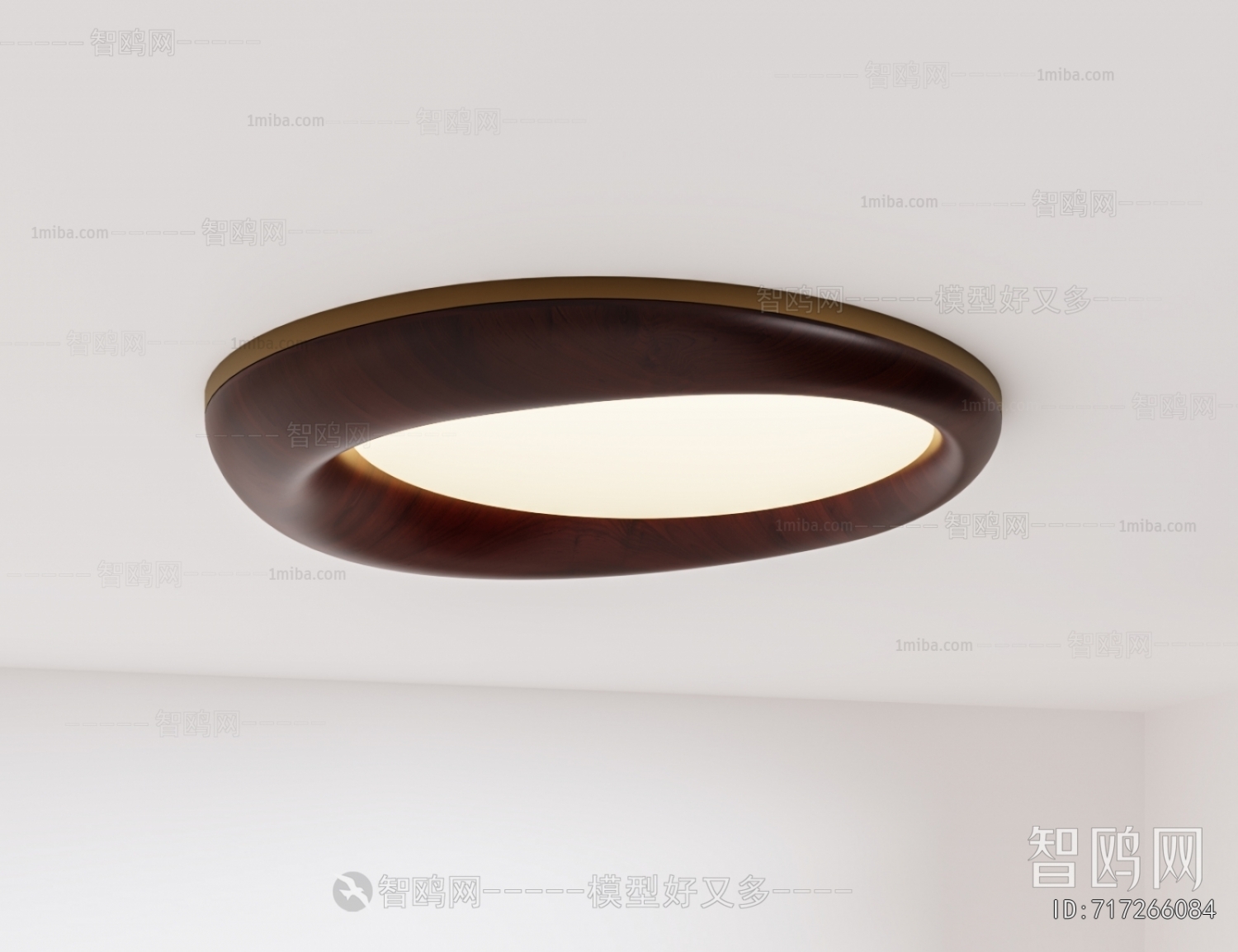 Modern Ceiling Ceiling Lamp