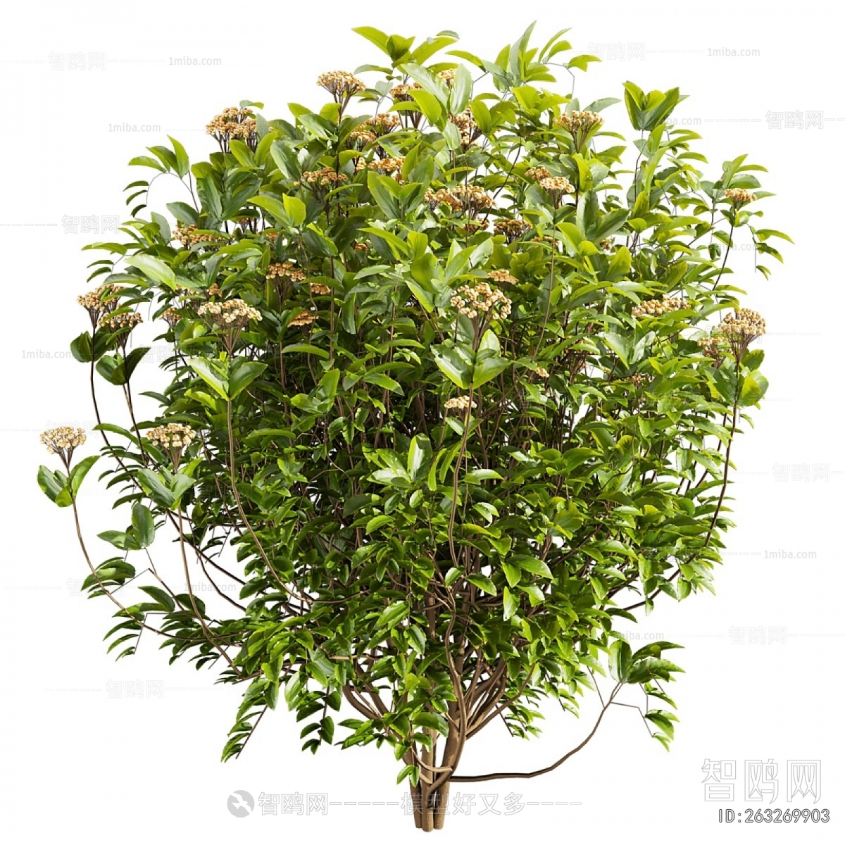 Modern Shrubbery