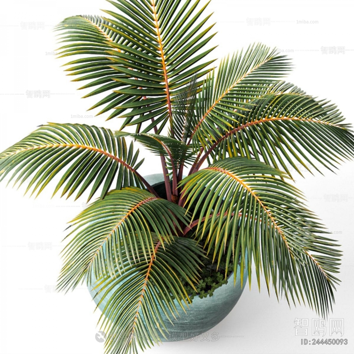 Modern Potted Green Plant
