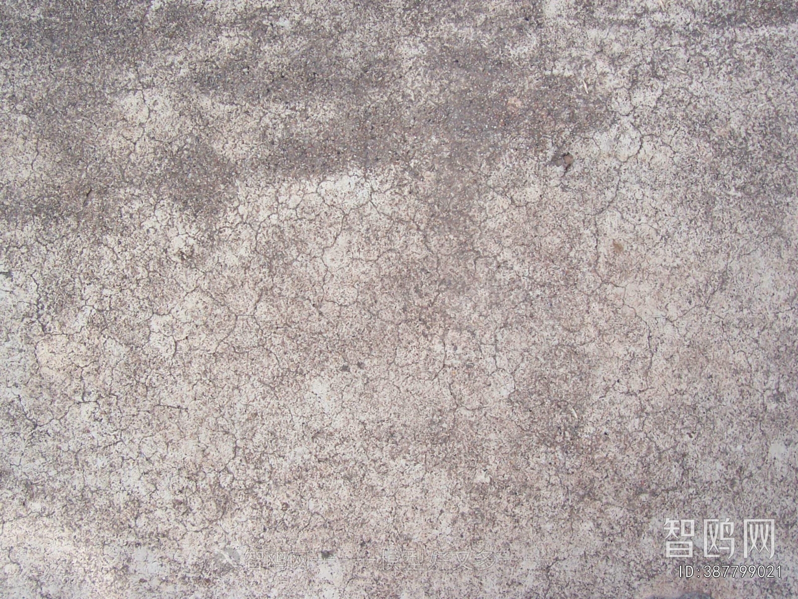Cement