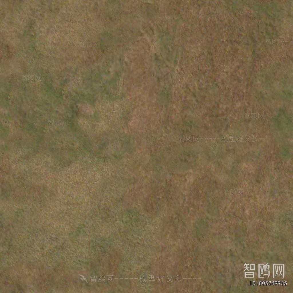 Grass