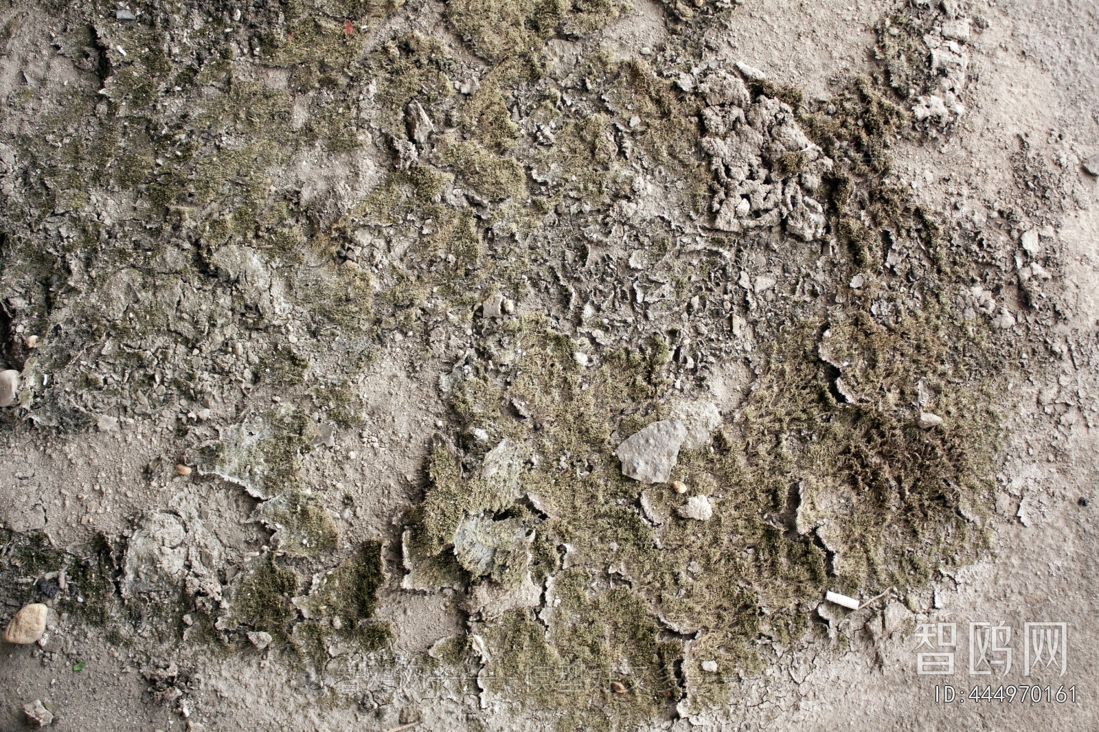 Cement