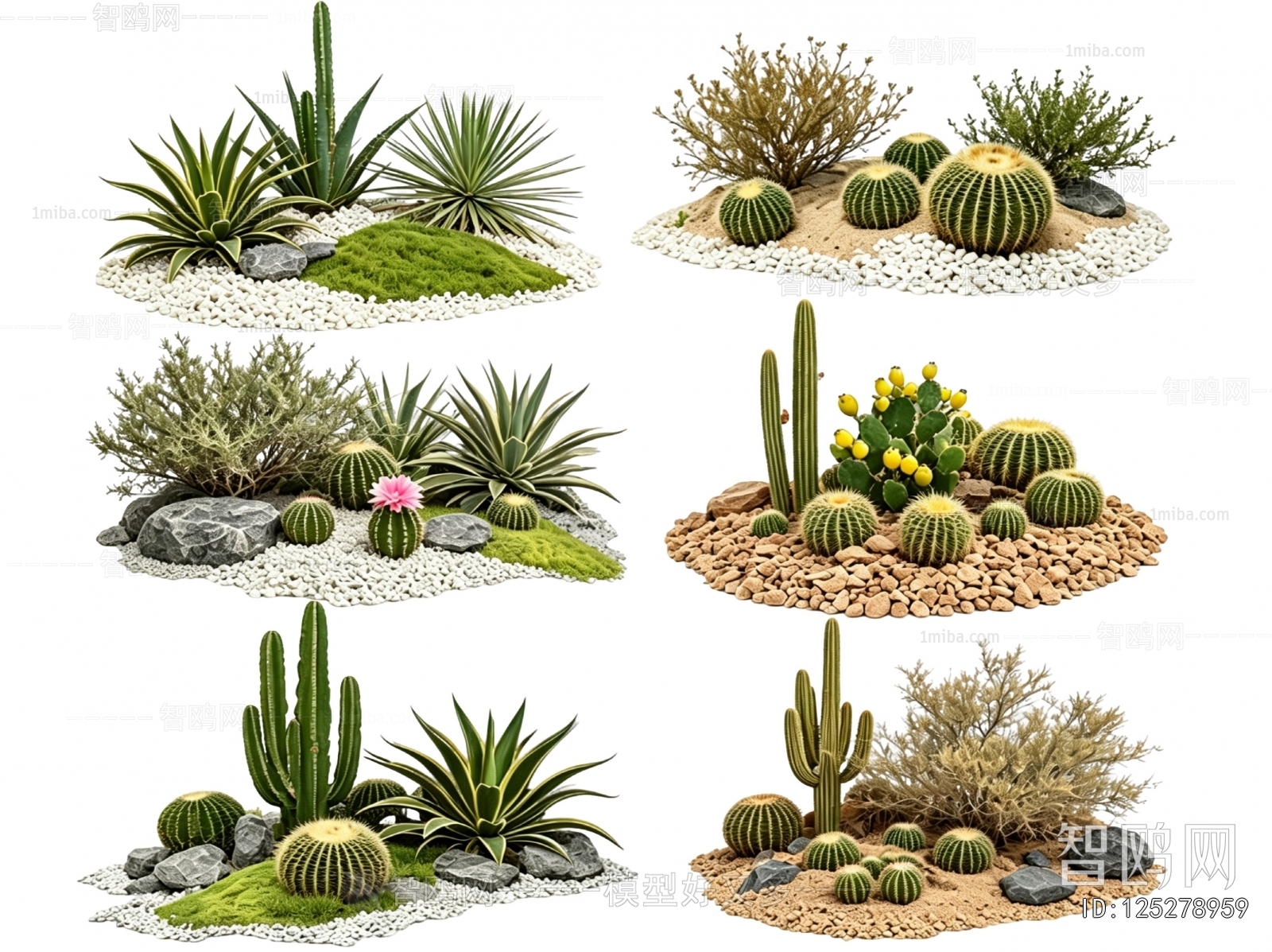 Modern Plant Landscaping