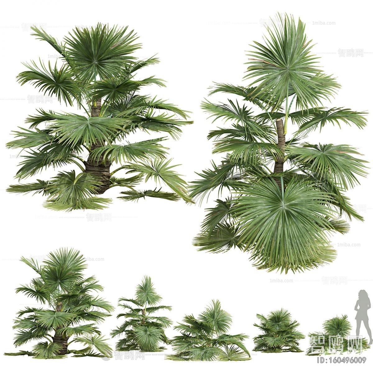 Modern Plant