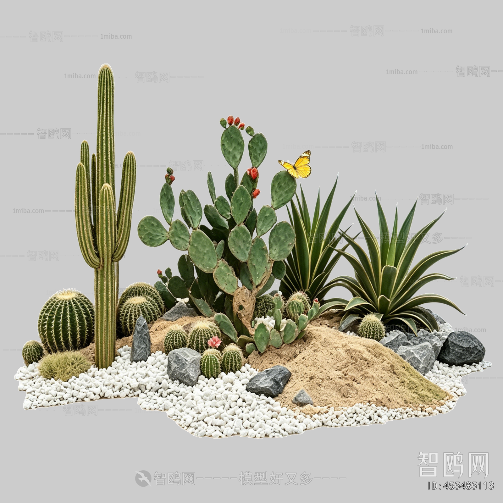 Plant Leaves