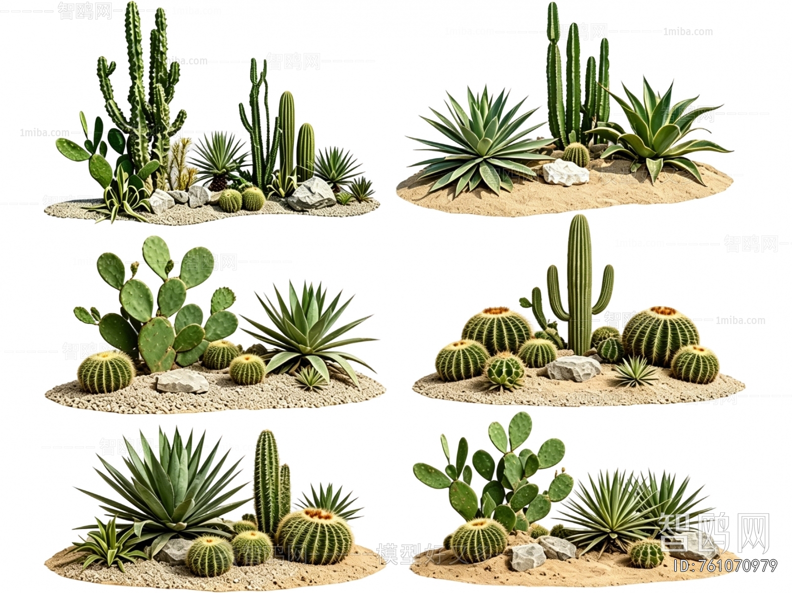 Modern Plant Landscaping