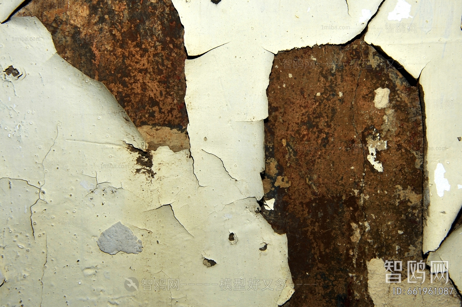 Cement