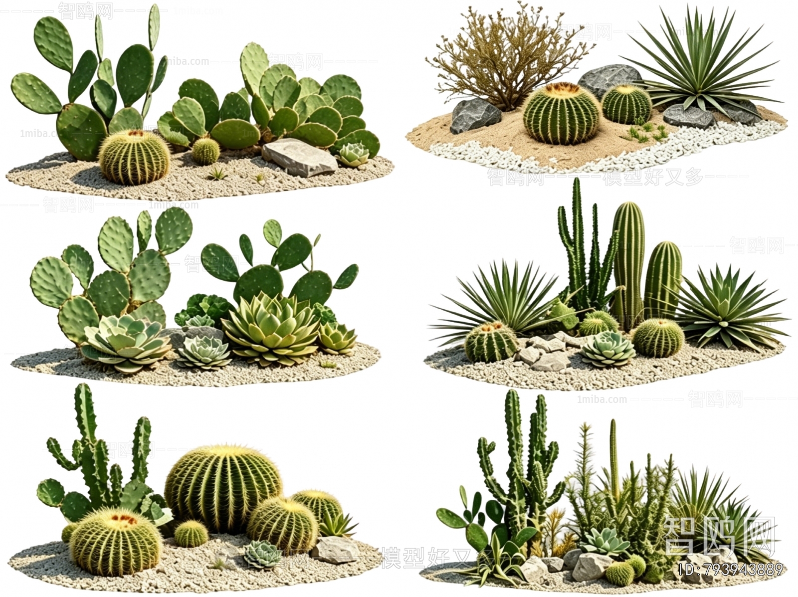 Modern Plant Landscaping