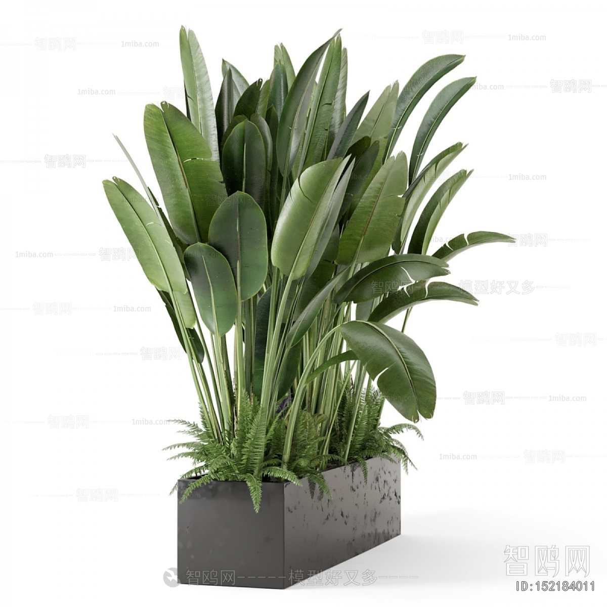 Modern Plant Landscaping