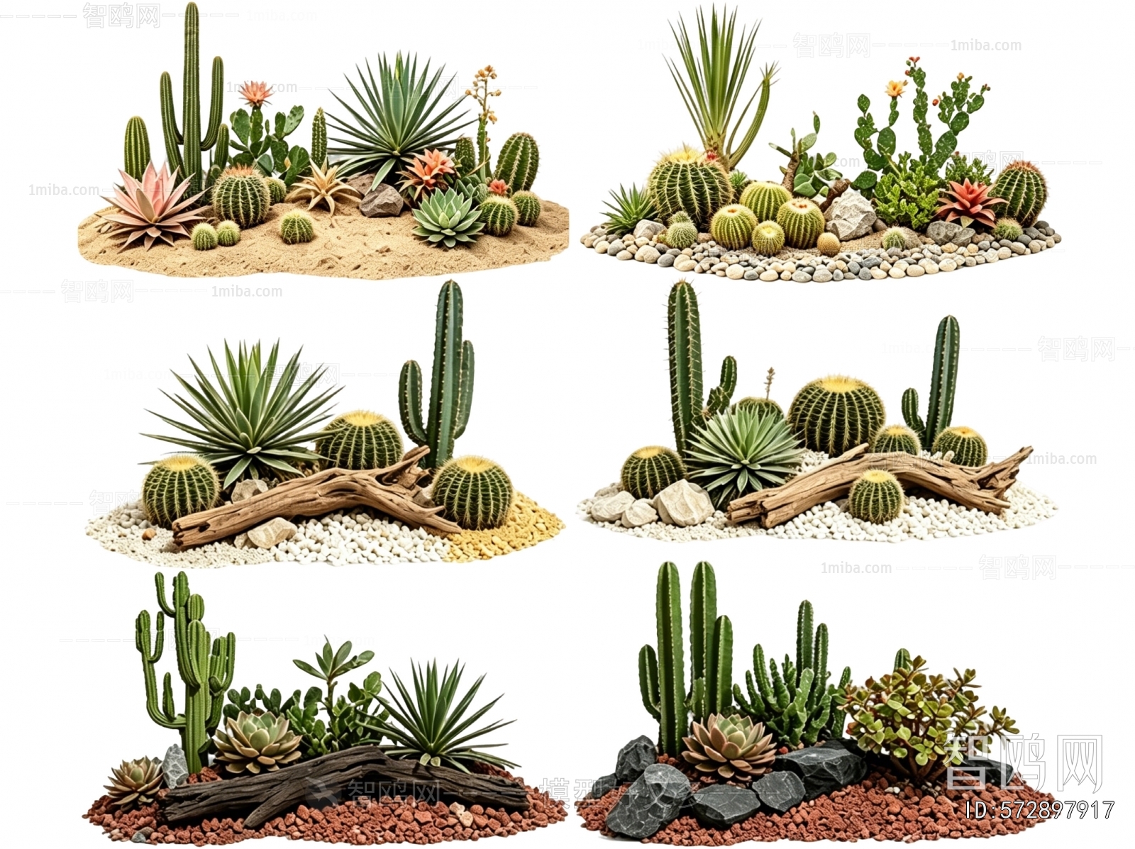 Modern Plant Landscaping