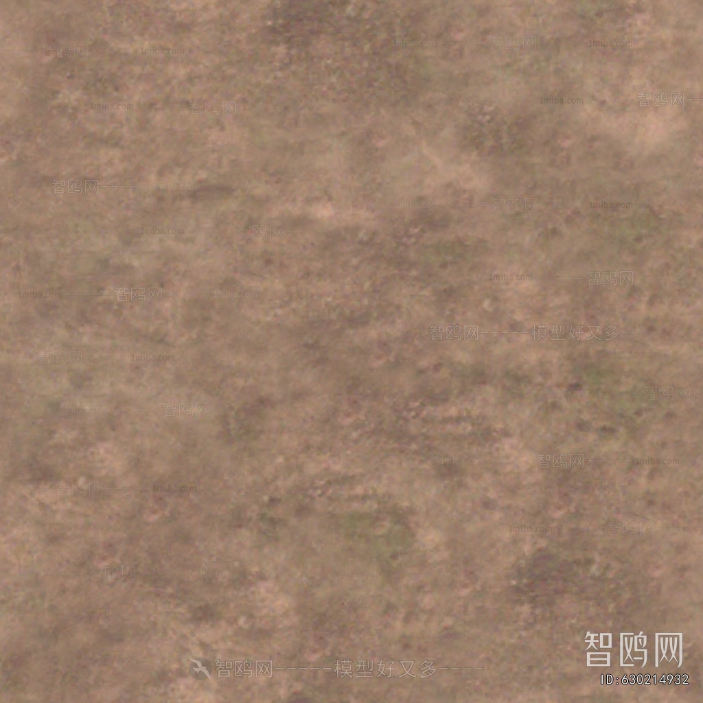Grass