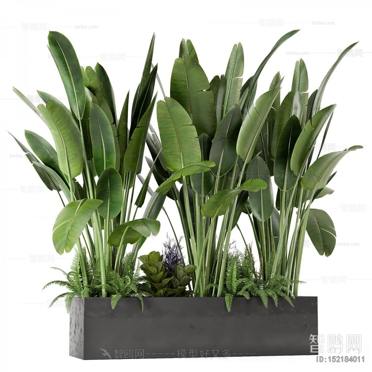 Modern Plant Landscaping