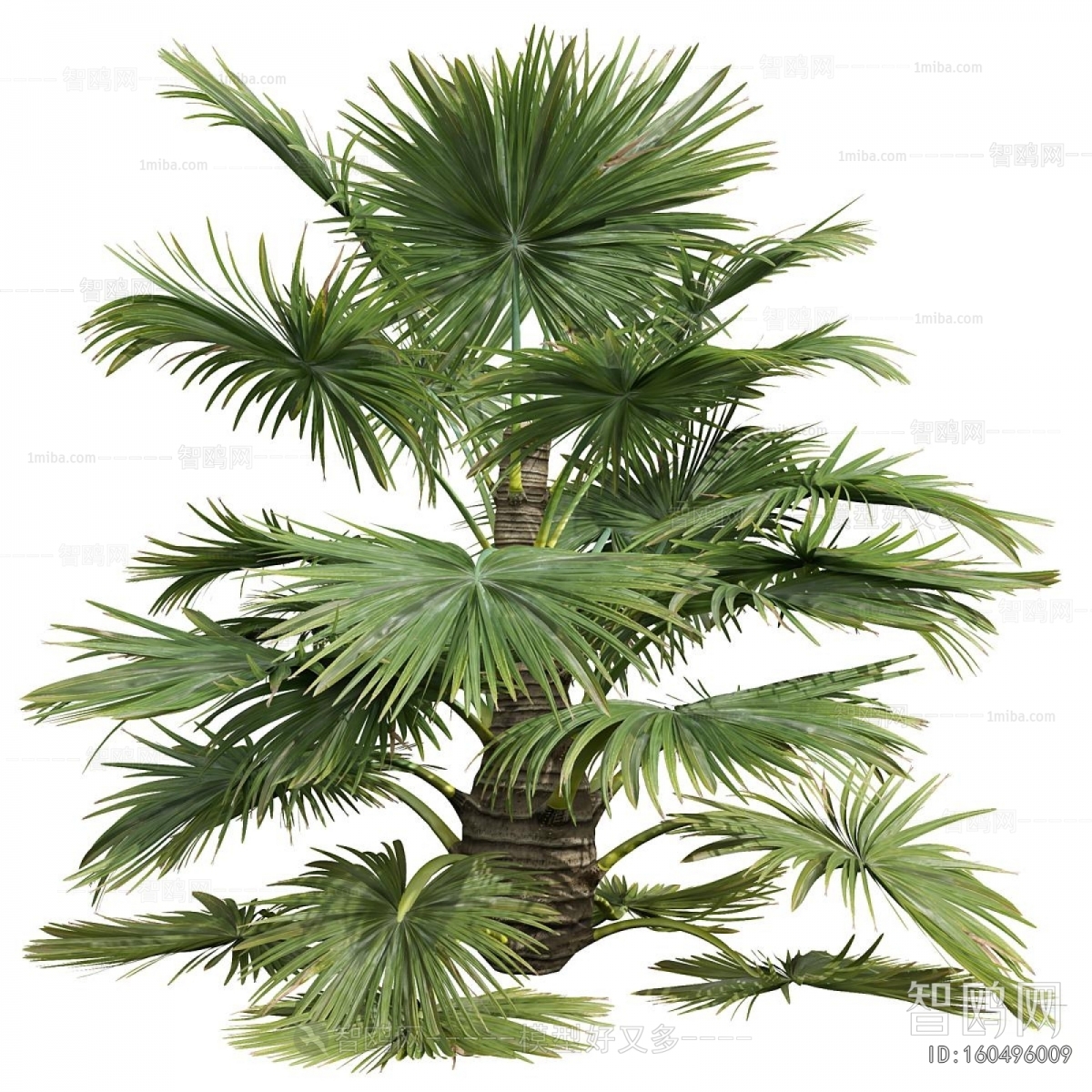 Modern Plant