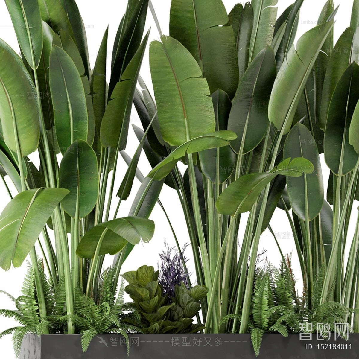 Modern Plant Landscaping