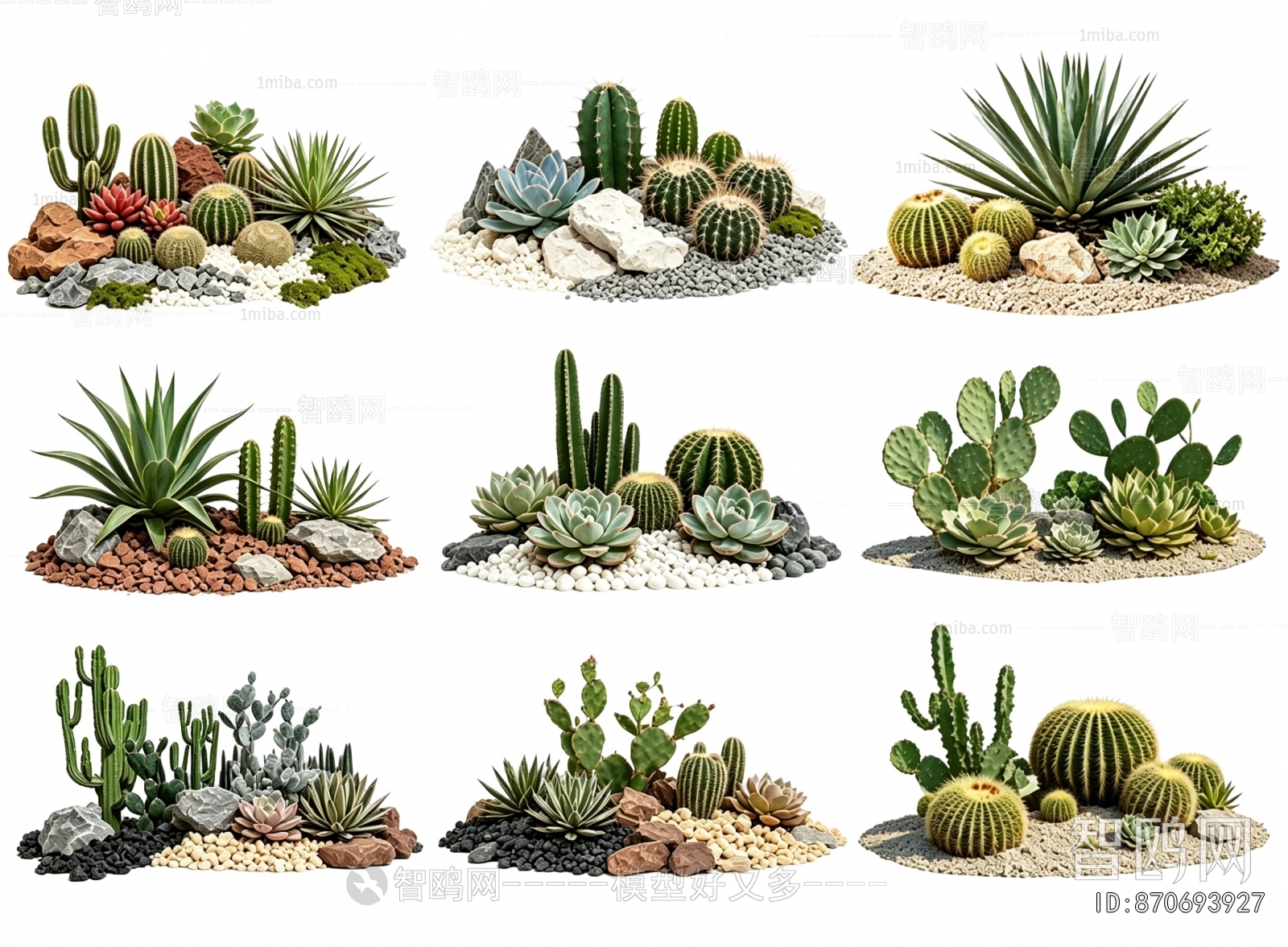Modern Plant Landscaping
