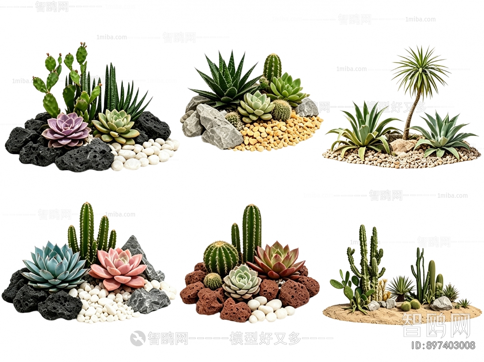 Modern Plant Landscaping
