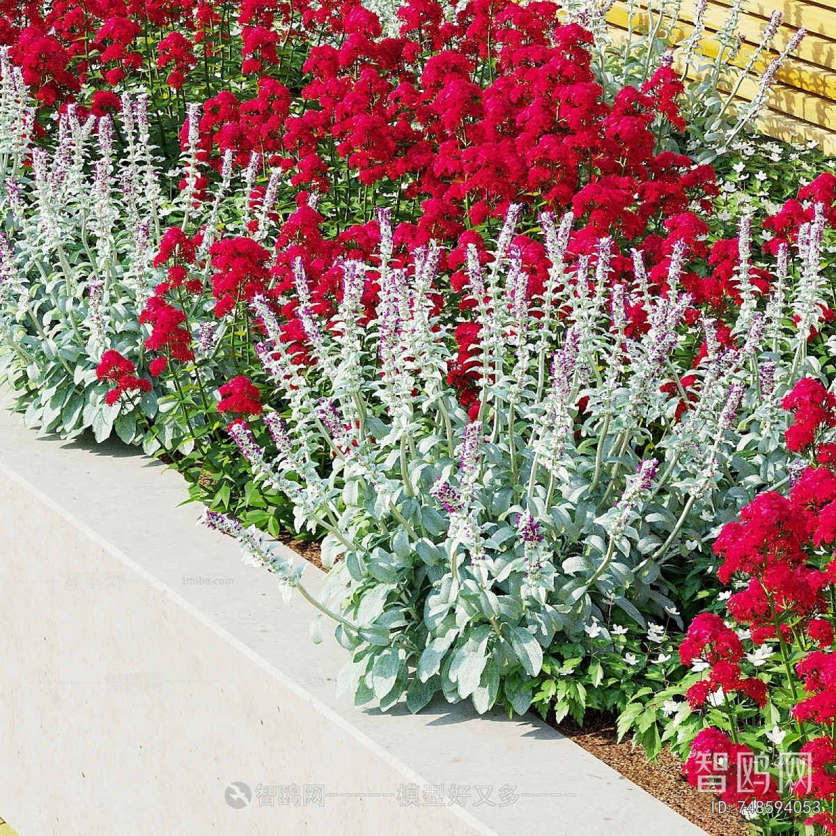 Modern Flowers And Grass