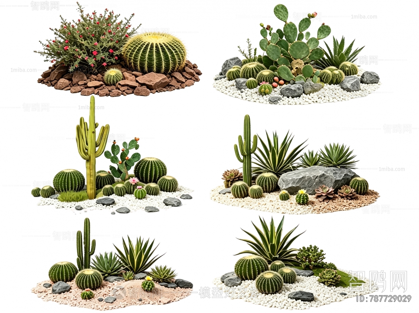 Modern Plant Landscaping