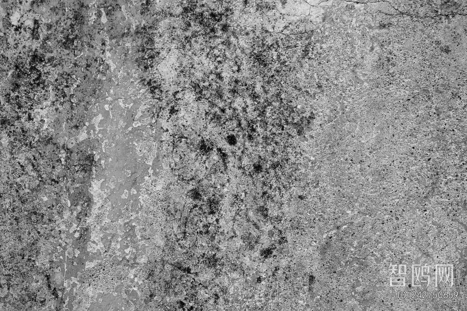 Cement