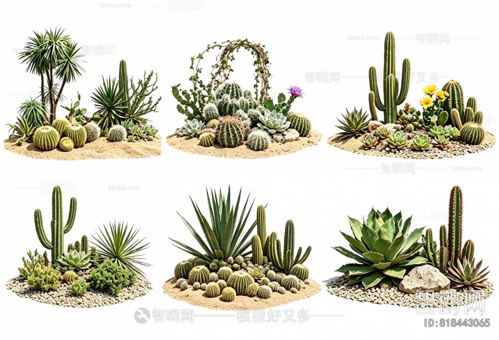Modern Plant Landscaping