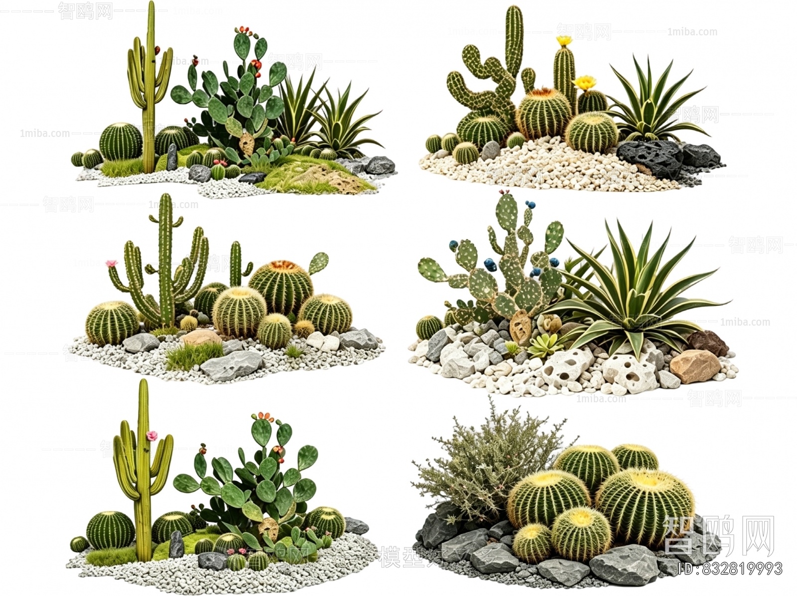 Modern Plant Landscaping