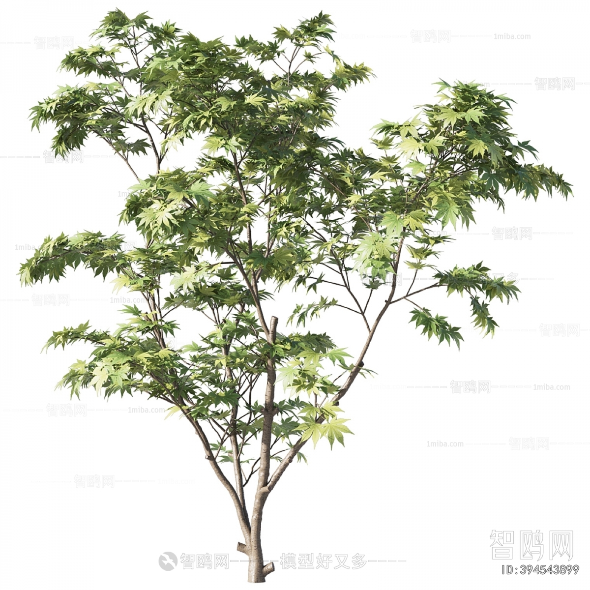 Modern Tree