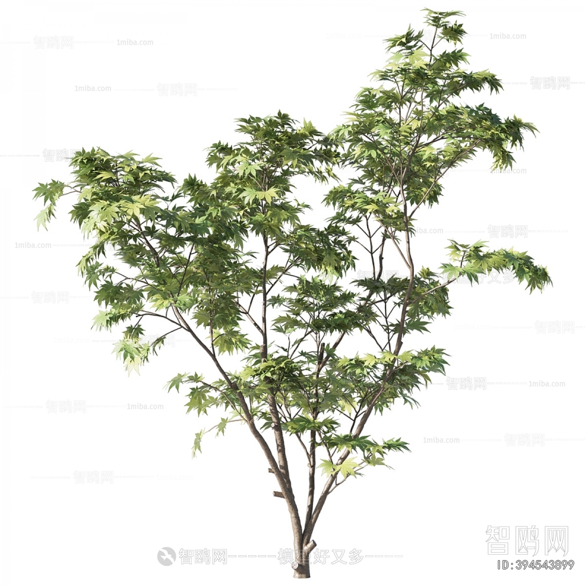 Modern Tree