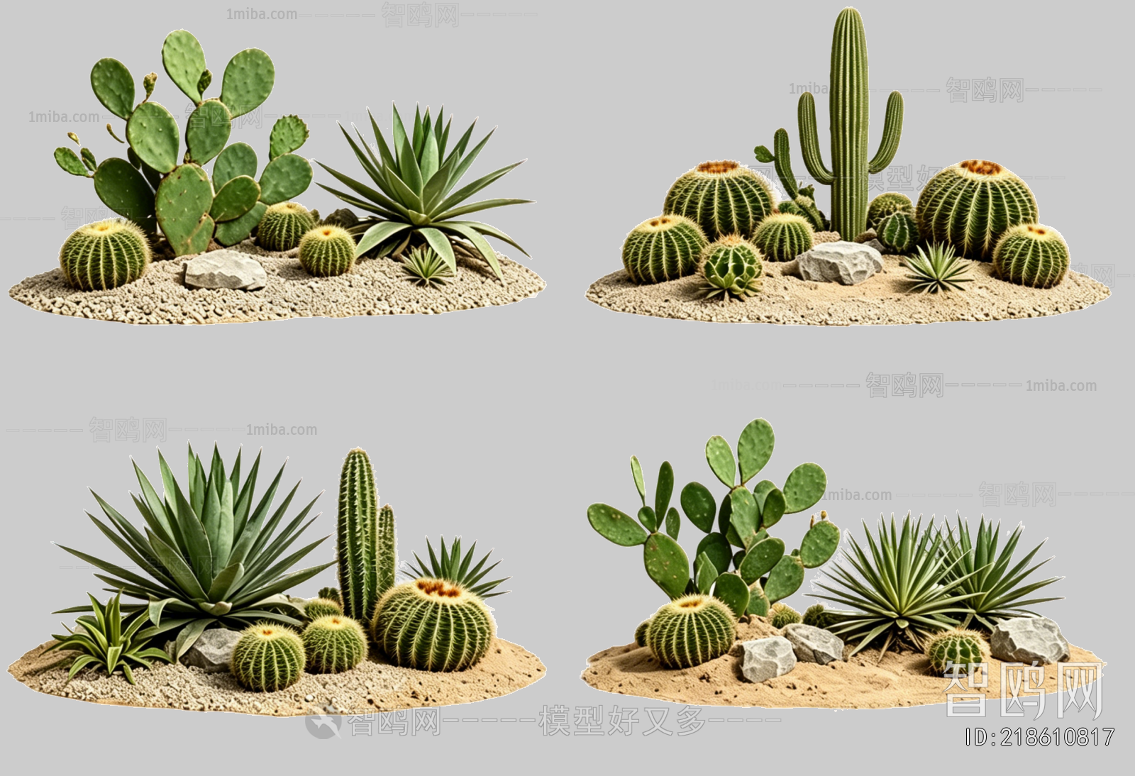Plant Leaves