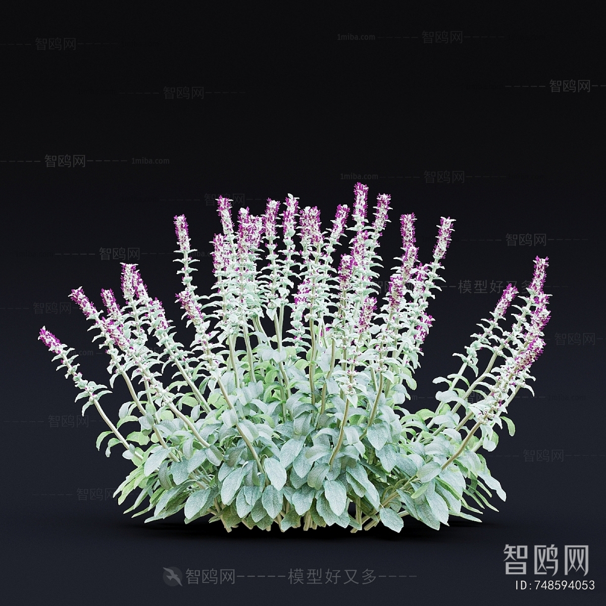 Modern Flowers And Grass