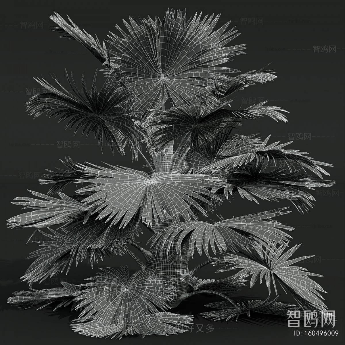 Modern Plant