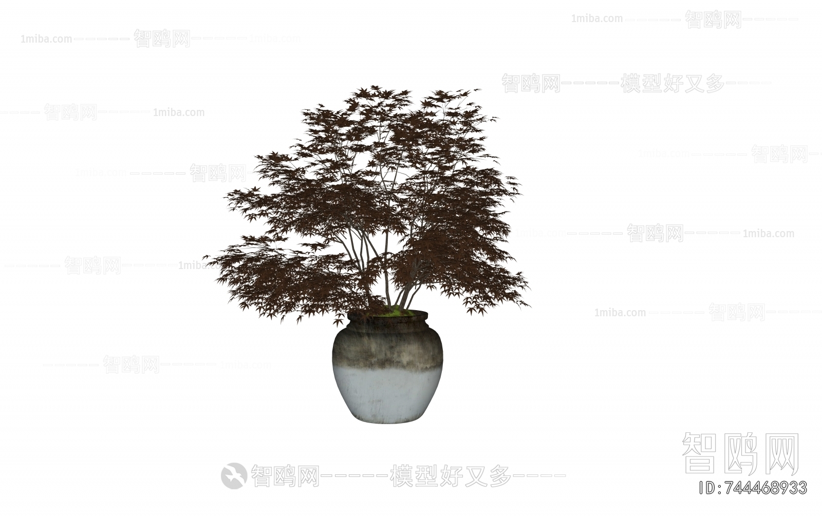 Modern Ground Green Plant Potted Plants