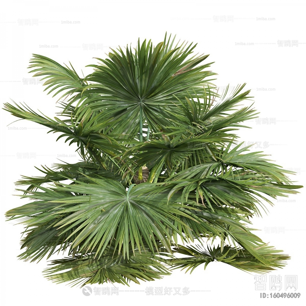 Modern Plant