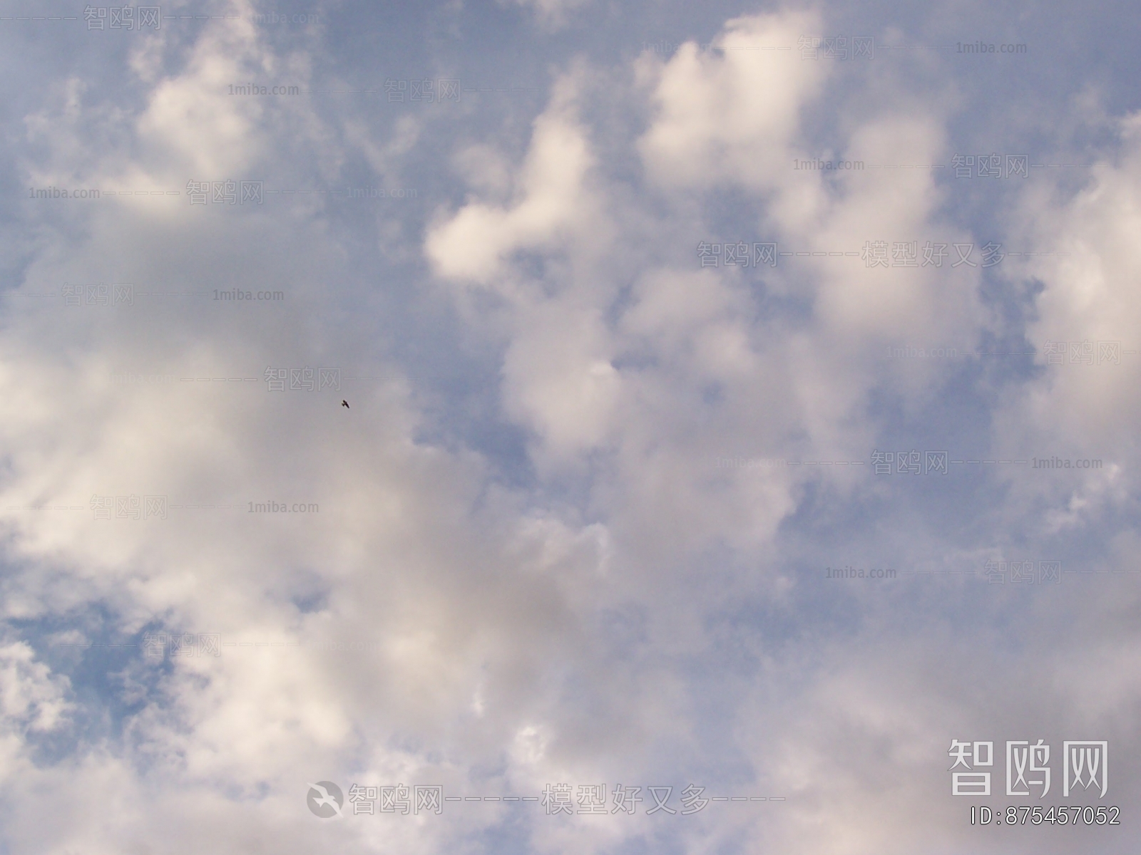 The Sky