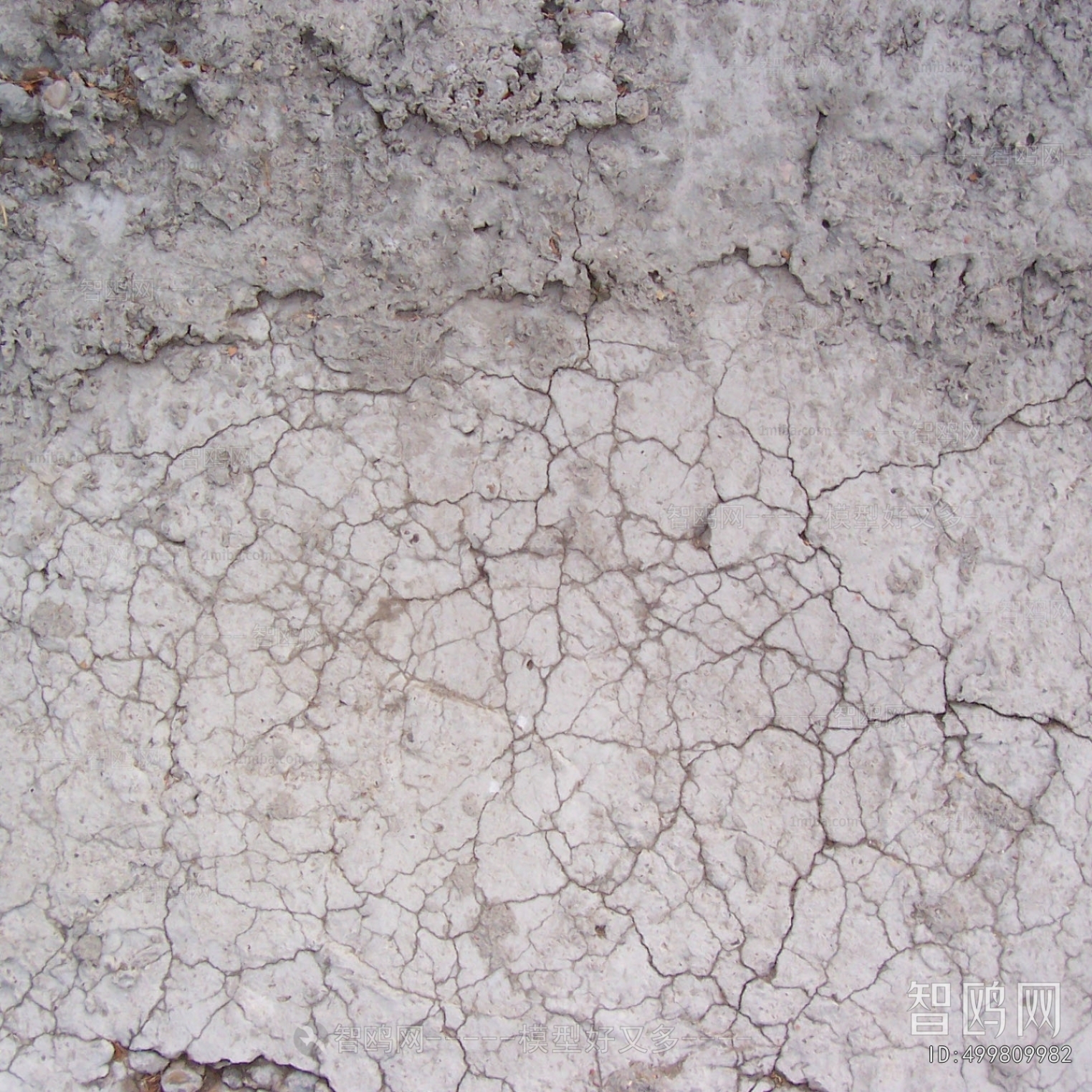 Cement